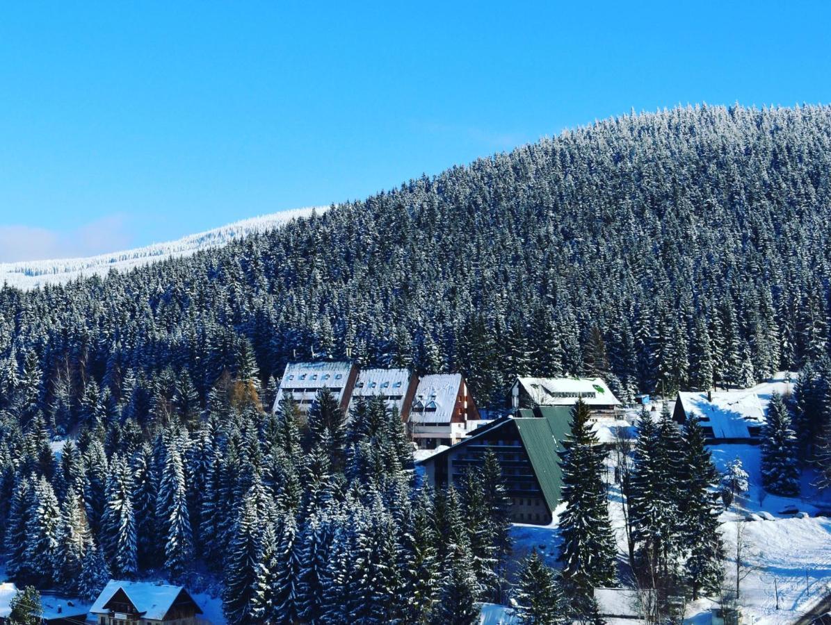 Pension Renata Гаррахов Экстерьер фото