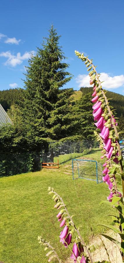 Pension Renata Гаррахов Экстерьер фото